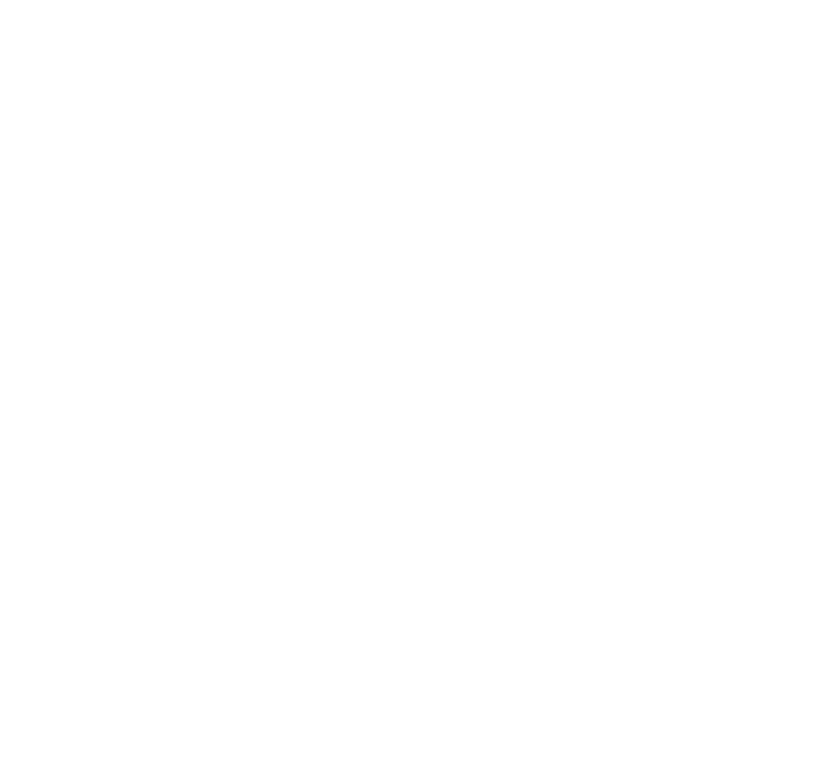 Netzwerk Sachsen-Anhalt